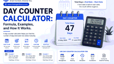 Day counter calculator infographic design