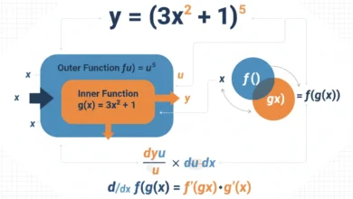 Chain Rule