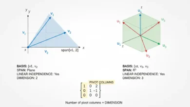 basis and dimension