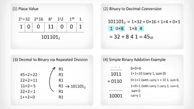 binary numbers