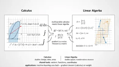 calculus & linear algebra