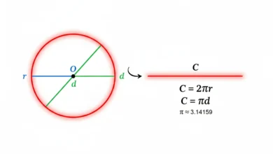 circle circumference