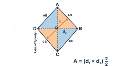 kite area