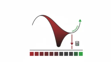 maximum drawdown