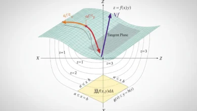 multivariable calculus