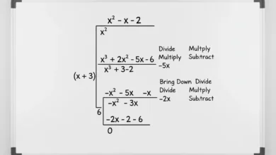 polynomial long division
