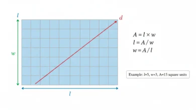 rectangle area