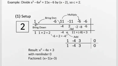 synthetic division