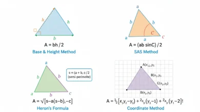 triangle area