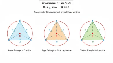 triangle circumcenter