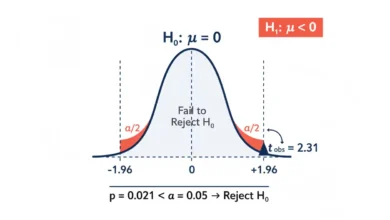 null hypothesis